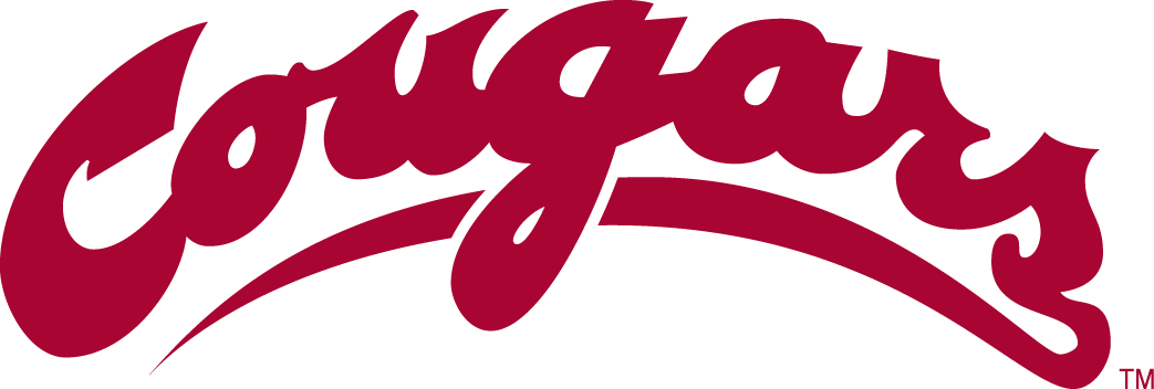 Washington State Cougars 1995-2010 Wordmark Logo iron on transfers for T-shirts